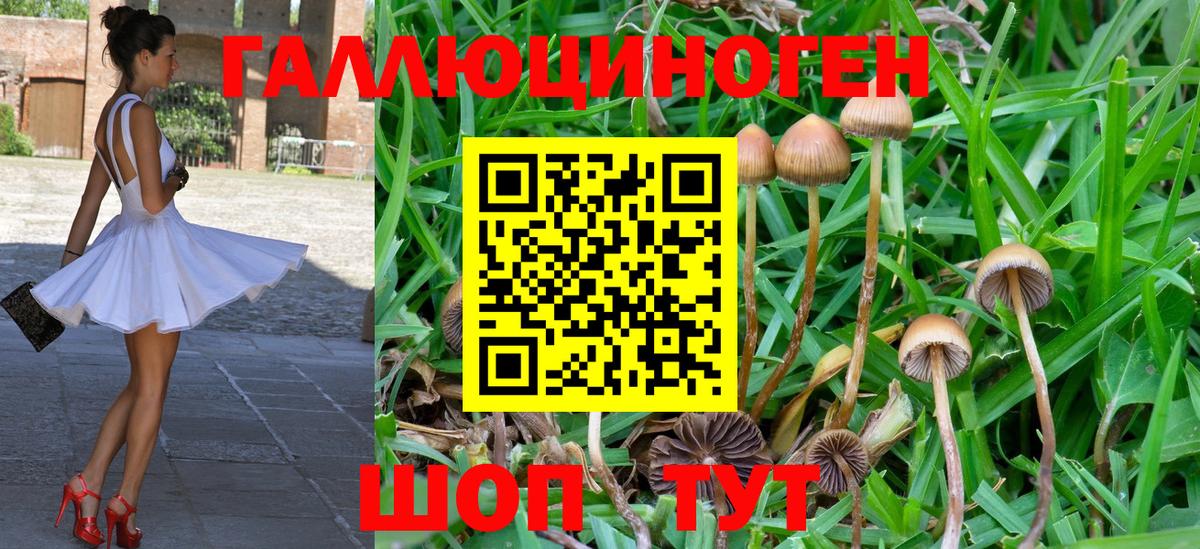 Галлюциногенные грибы MAGIC MUSHROOMS  Вход с VPN  Аксай 