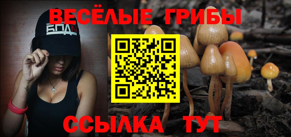 Псилоцибиновые грибы мицелий Аксай